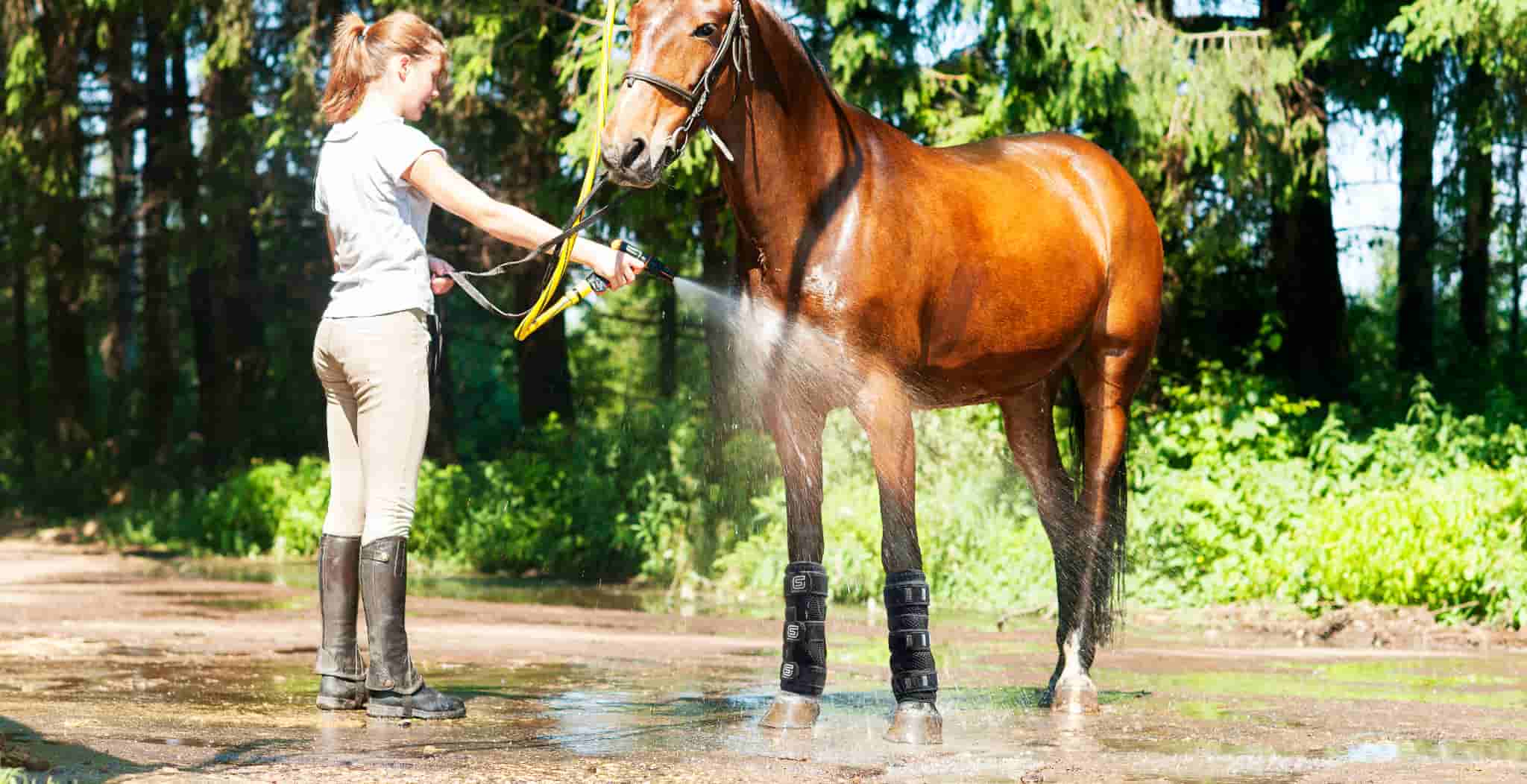 EQU Streamz coolboots for cooling horses legs after exercise for recovery and rehabilitation