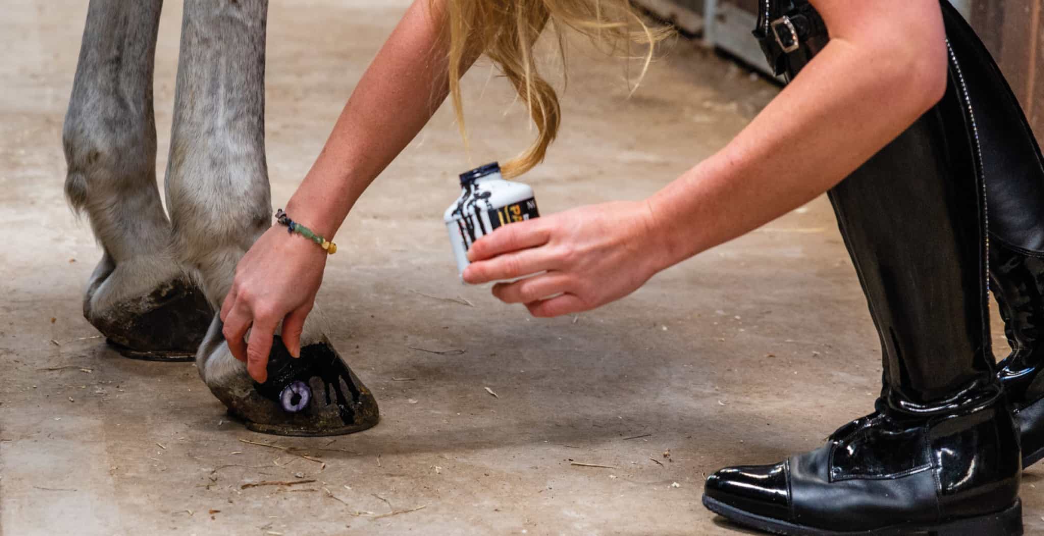 EQU Streamz commonky found hoof problems blog information directory post main image