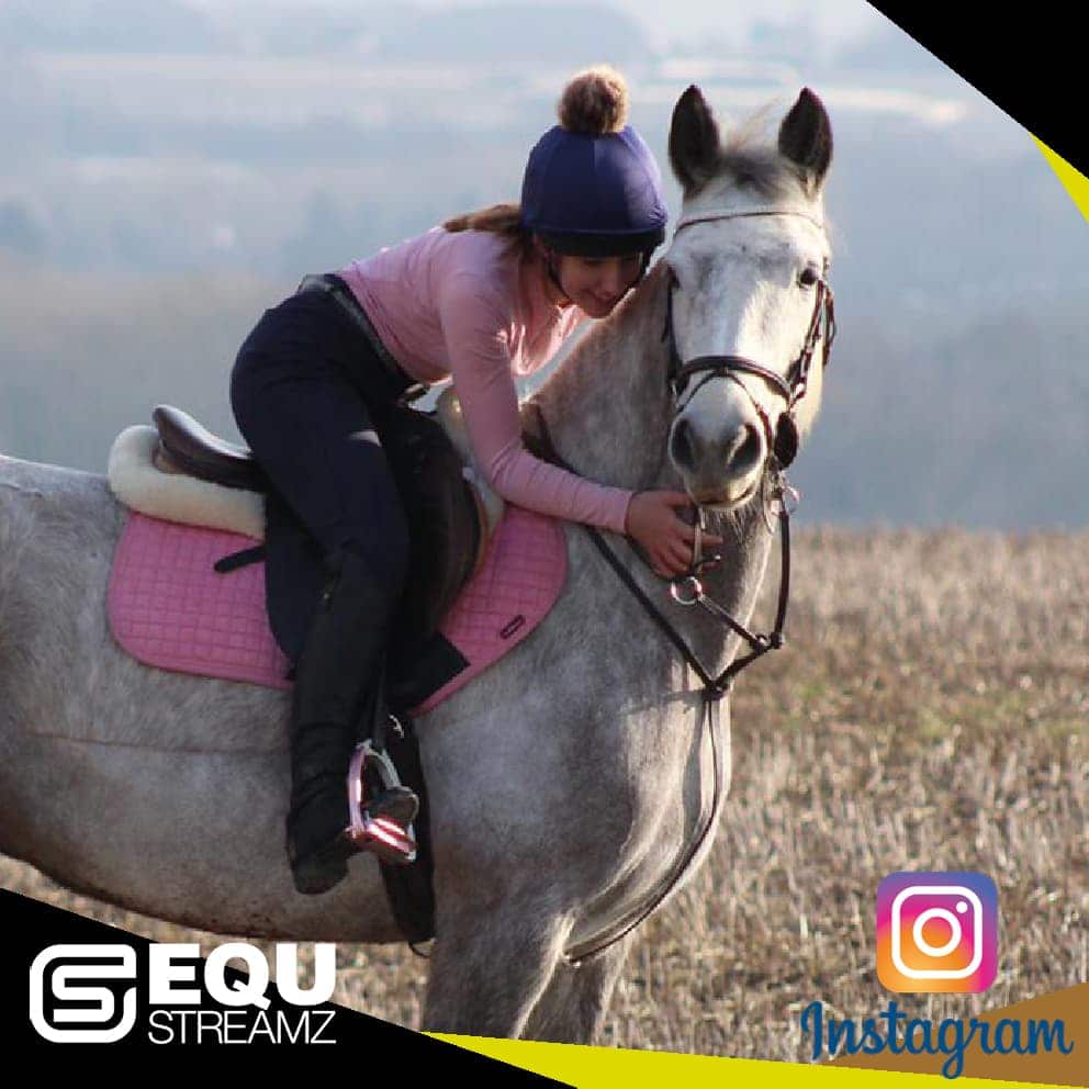 EQU Streamz fetlock hock magnetic therapy bands for horses. Friends of EQU Streamz showing influencers and social media partners who enodrse and recommed the use of Streamz magnetism on their horses for pain relief inflammation laminitis navicular. Image.
