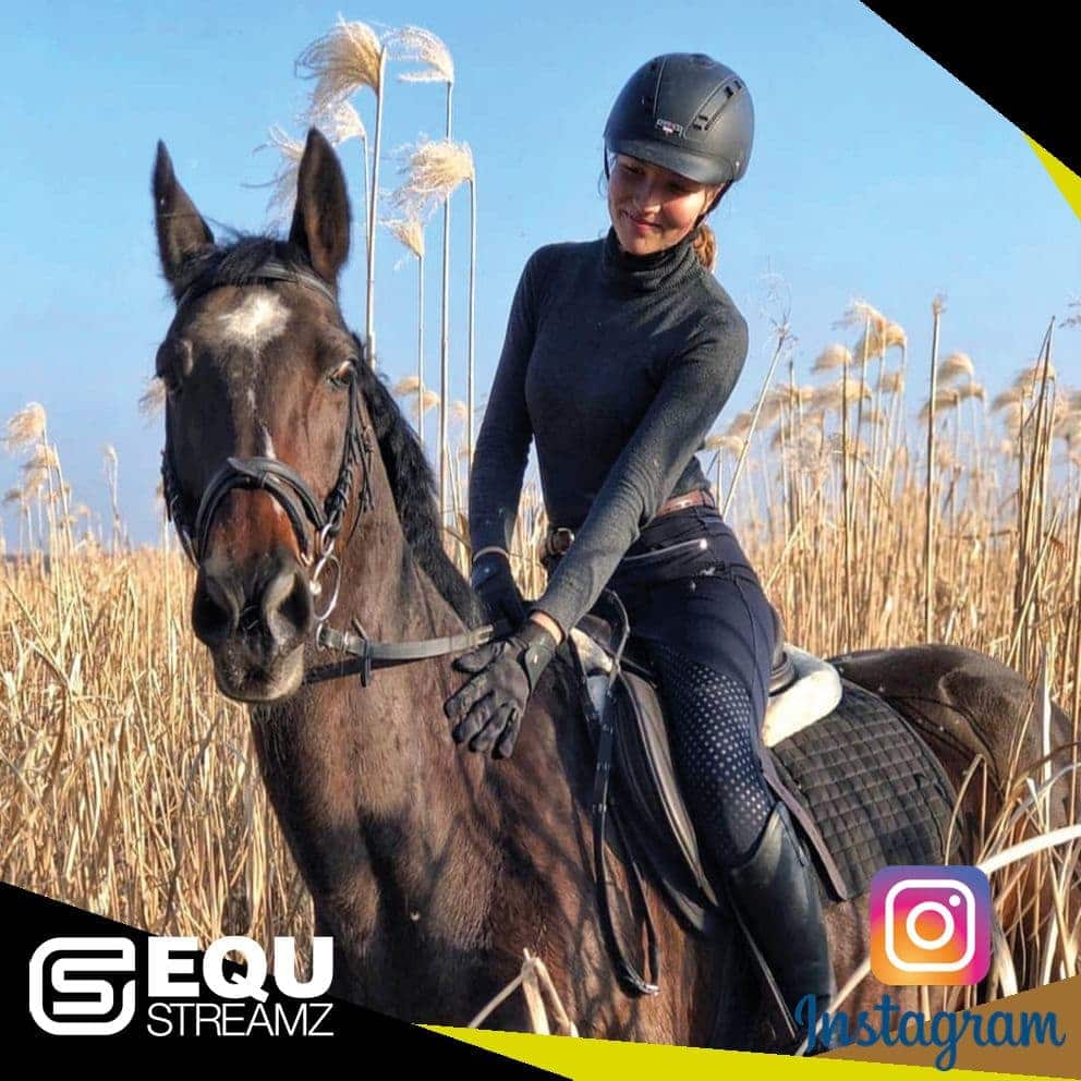 EQU Streamz fetlock hock magnetic therapy bands for horses. Friends of EQU Streamz showing influencers and social media partners who enodrse and recommed the use of Streamz magnetism on their horses for pain relief inflammation laminitis navicular. Image.