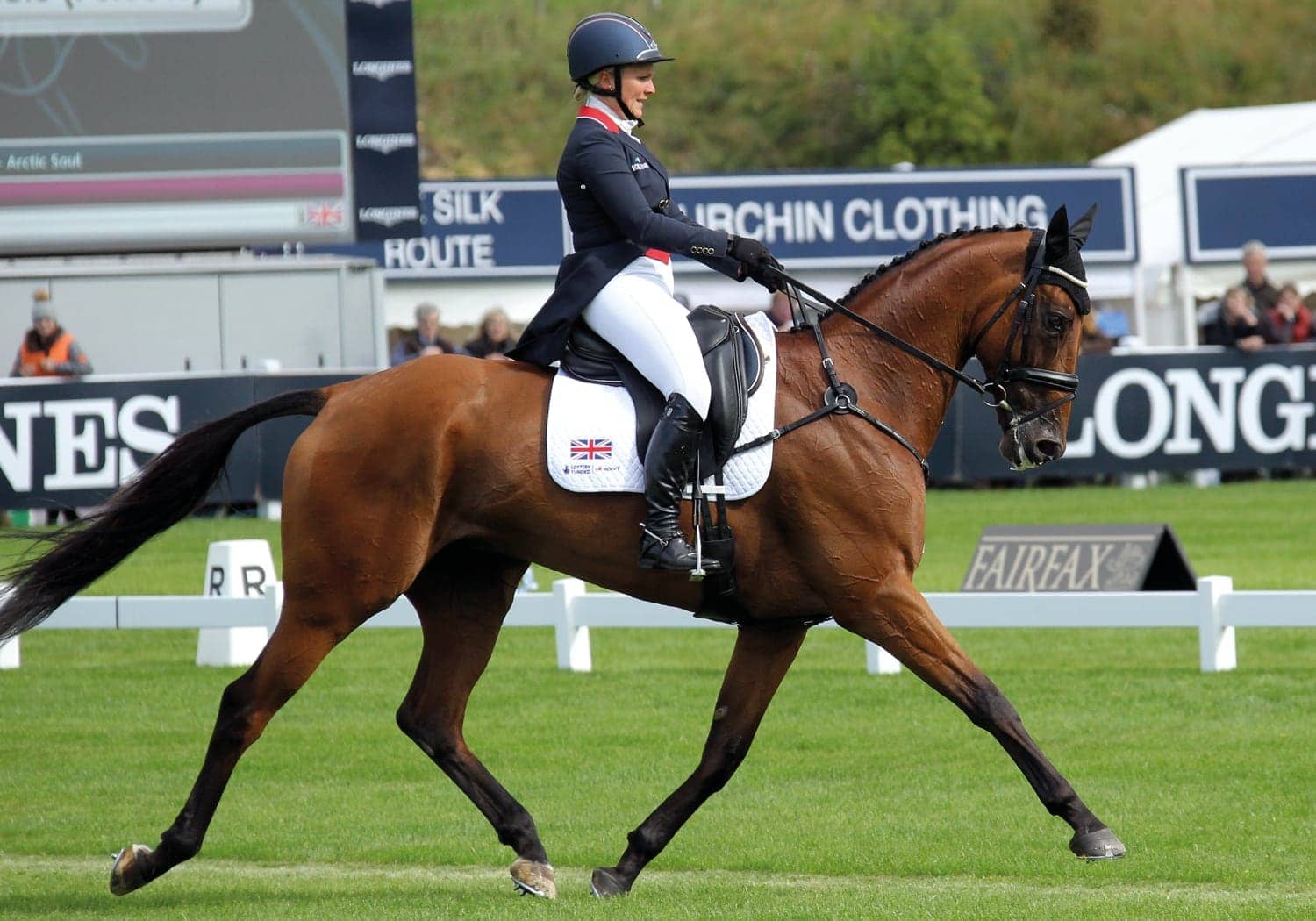 EQU-StreamZ-Magnetic-Horse-Bands-Trevor-Breen-sportshorses-and-horse-with-bands-on-for-recovery-rehabilitation