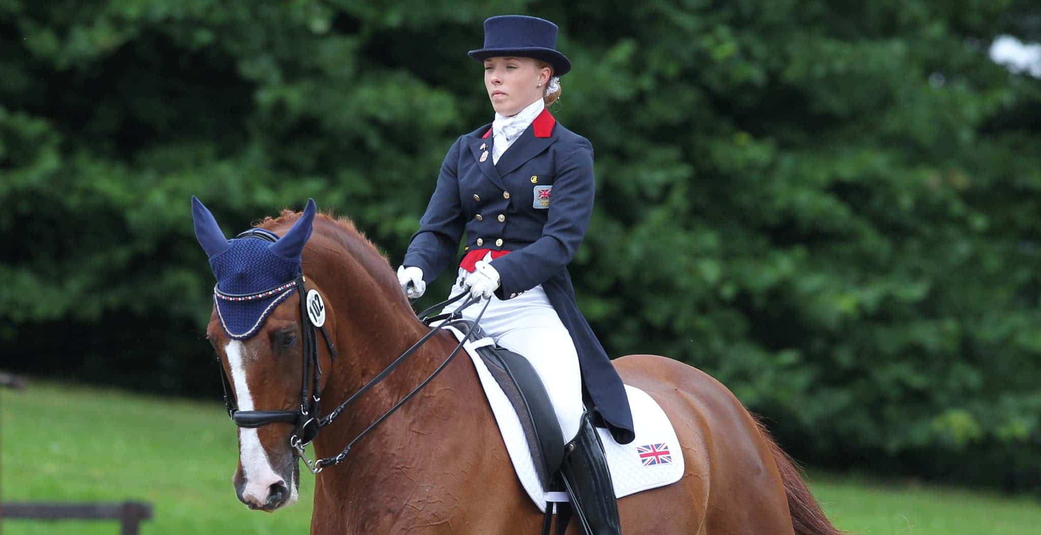 EQU-streamz-fetlock-hock-magnetic-bands-for-horses-endorsed-image-Sophie Wells Slider