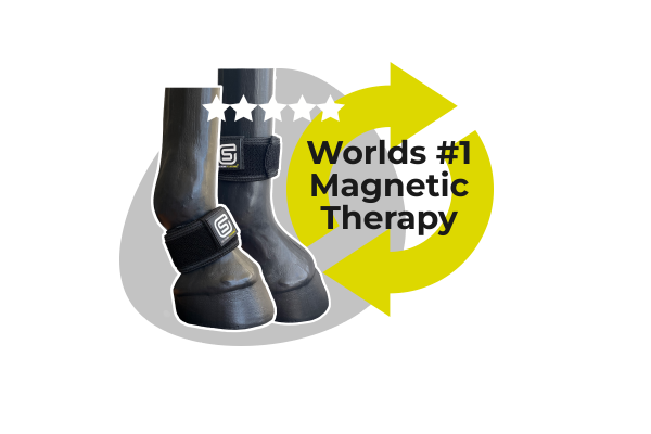 EQU Streamz magnetic horse bands are the worlds highest rated magnetic tack for horses and ponies. Image of EQU Streamz bands on horse