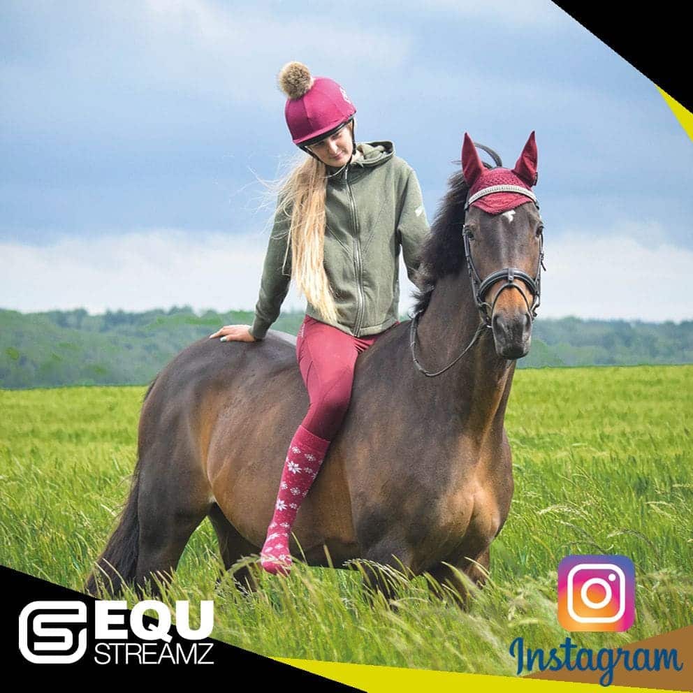 EQU Streamz fetlock hock magnetic therapy bands for horses. Friends of EQU Streamz showing influencers and social media partners who enodrse and recommed the use of Streamz magnetism on their horses for pain relief inflammation laminitis navicular. Image.