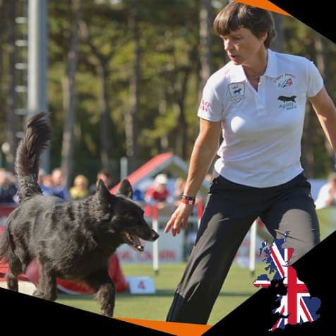 DOG Streamz endorsement from leading dog handler. Endorsed for joint care and mobility and a general sense of wellbeing. Injury and rehabilitation of dog injuries and complemtary pain relief alongside prescribed medications and treatments. Image sponsor.