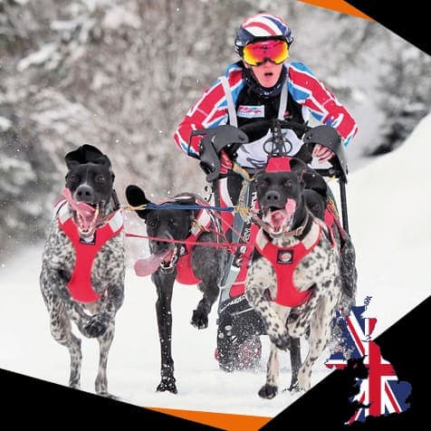 DOG Streamz endorsement from leading dog handler. Endorsed for joint care and mobility and a general sense of wellbeing. Injury and rehabilitation of dog injuries and complemtary pain relief alongside prescribed medications and treatments. Image sponsor.