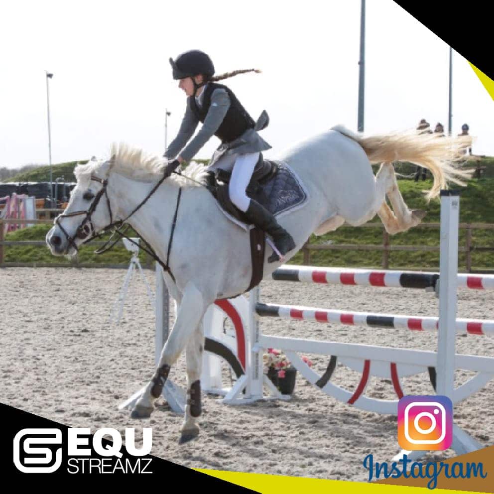 EQU Streamz fetlock hock magnetic therapy bands for horses. Friends of EQU Streamz showing influencers and social media partners who enodrse and recommed the use of Streamz magnetism on their horses for pain relief inflammation laminitis navicular. Image.