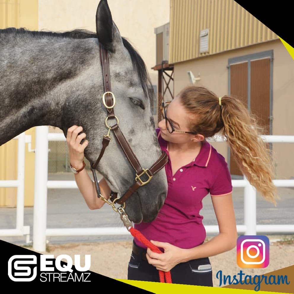 EQU Streamz fetlock hock magnetic therapy bands for horses. Friends of EQU Streamz showing influencers and social media partners who enodrse and recommed the use of Streamz magnetism on their horses for pain relief inflammation laminitis navicular. Image.