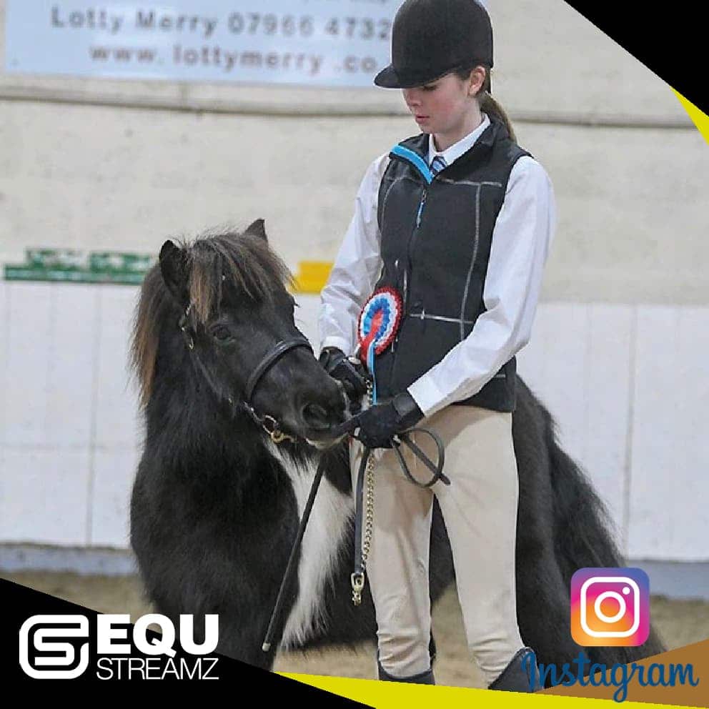 EQU Streamz fetlock hock magnetic therapy bands for horses. Friends of EQU Streamz showing influencers and social media partners who enodrse and recommed the use of Streamz magnetism on their horses for pain relief inflammation laminitis navicular. Image.