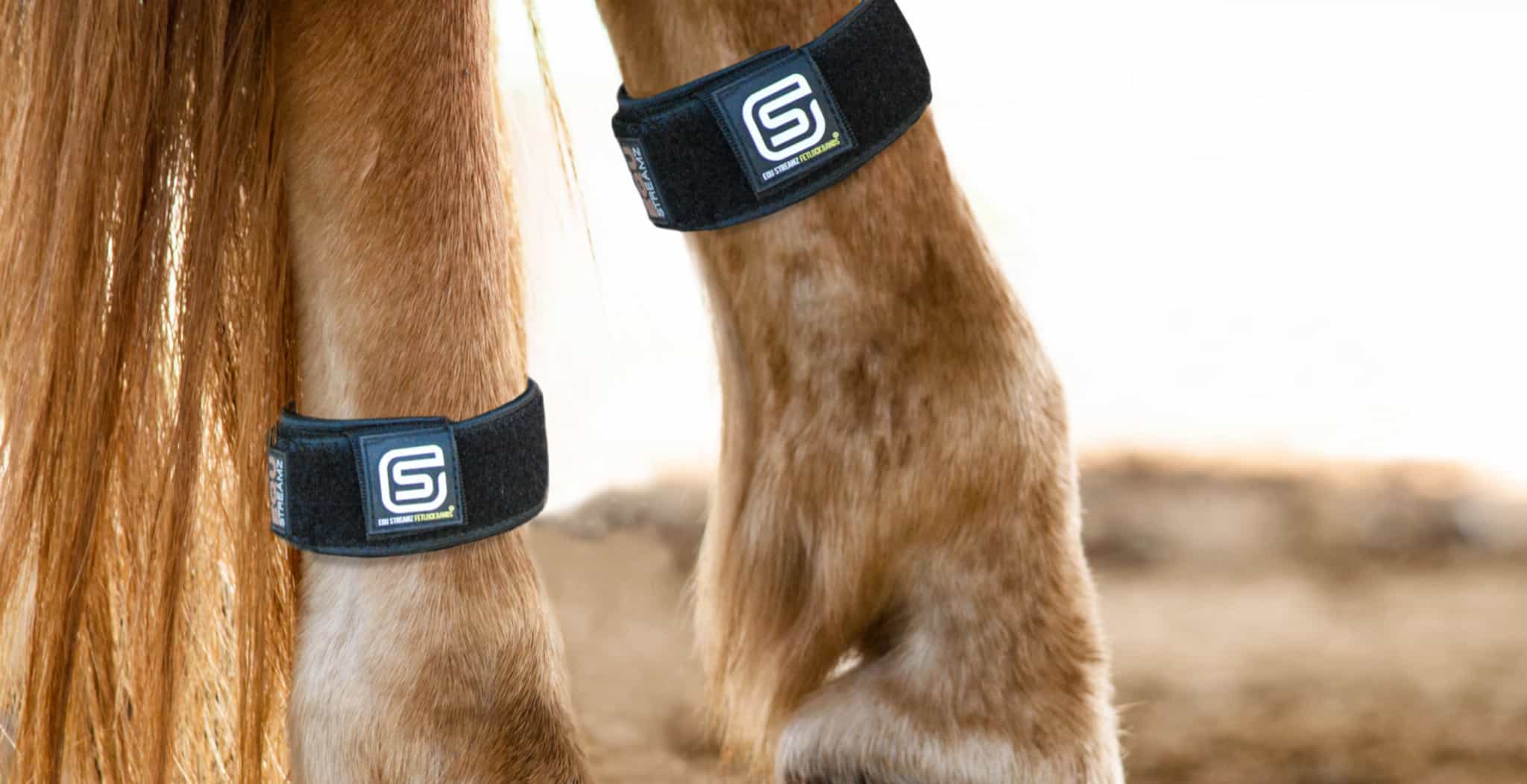 Equ streamz replacement sleeves (pair) image on horses hind legs