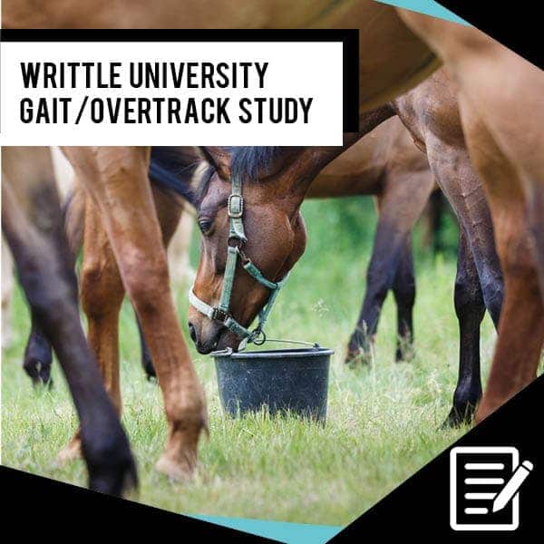 EQU Streamz clinical study. After a trial period of 21 days this study found that the horses in the treatment group showed a significant increase in overtrack.
