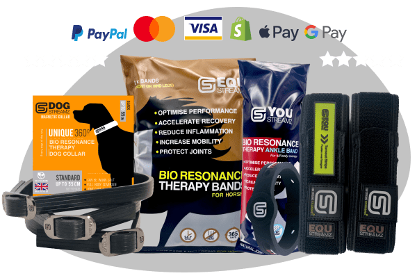 Streamz global magnetic therapy bio resonance therapy for dogs cows humans and horses