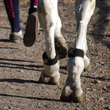 EQU StreamZ Bio-Resonance Horse Bands (Pair)