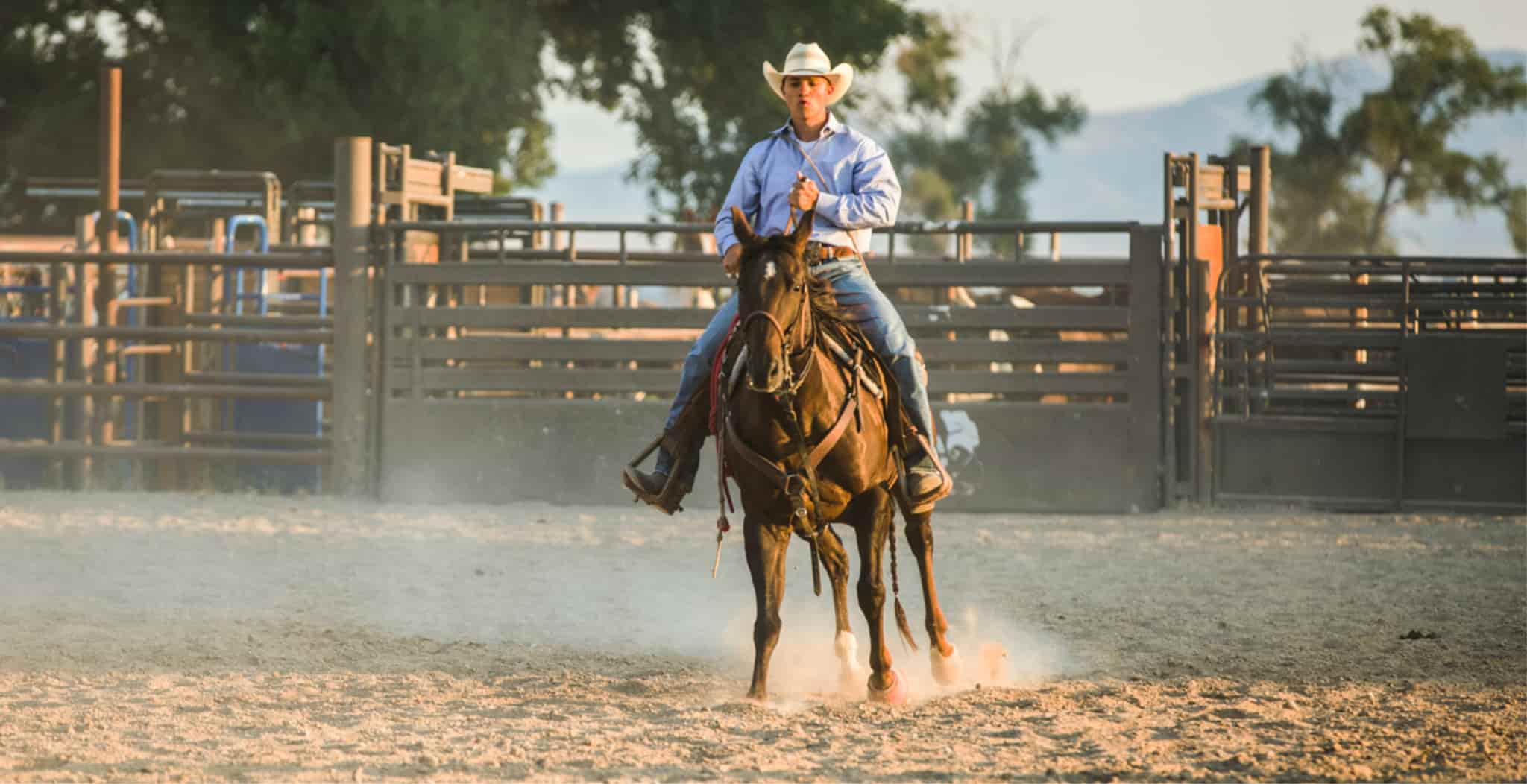 Campdrafting in horses article on equ streamz blog page as magnetic therapy can support campdraft horses