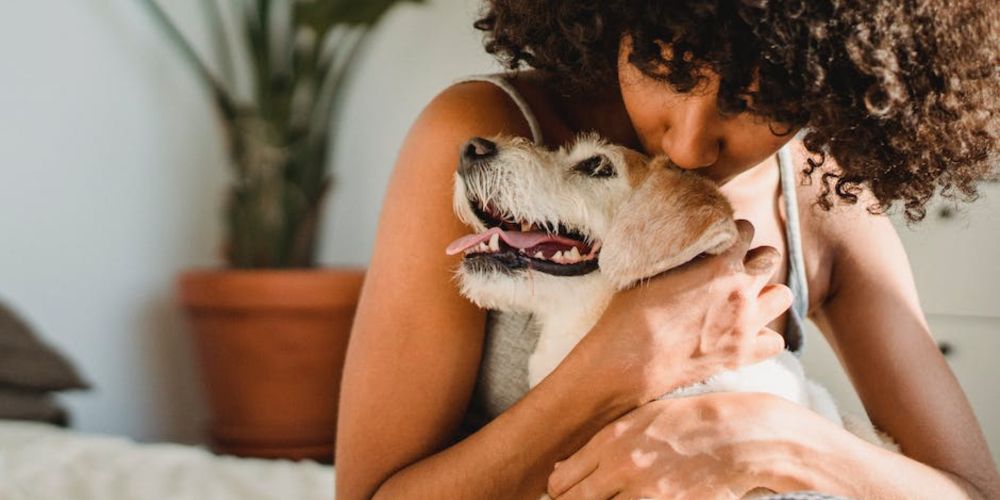 PERFECT: A Guide to Perfecting Your Dogs Ongoing Health