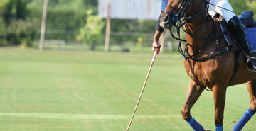 EQU Streamz introduction to polo sport horse discipline blog main image