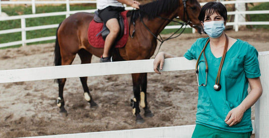 EQU Streamz A sport horse is a type of horse who competes in a certain highly active discipline which can lead to Deep digital flexor tendon Injuries (DDFT), Suspensory Ligament Injuries, Bone Bruises and Soft Tissue Injuries.