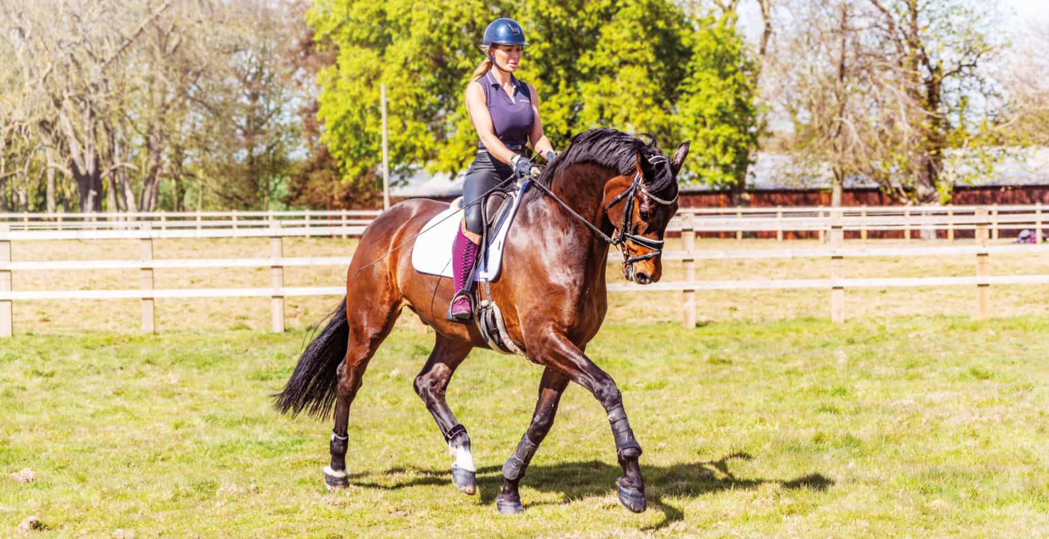 Sofie Butchart | Grand-Prix Dressage rider shares 12 tips to help other riders prepare for a competition