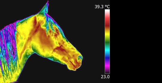 Thermal Imaging Study on StreamZ versus Traditional Magnets | Thermology UK Specialists