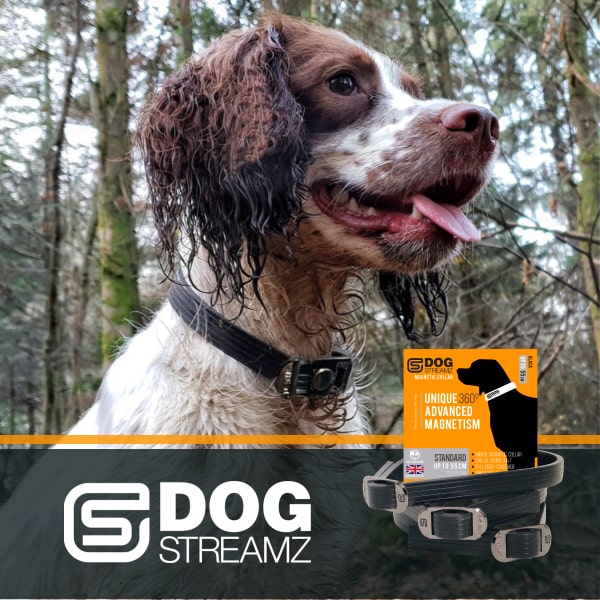 DOG StreamZ advanced Magnetic dog collars for arthritis and mobility issues in dogs offering natural joint care and wellbeing. Using a long term and non-invasive 24.7 suitable magnetic technology which is highly acclaimed. Orange dog streamz logo.