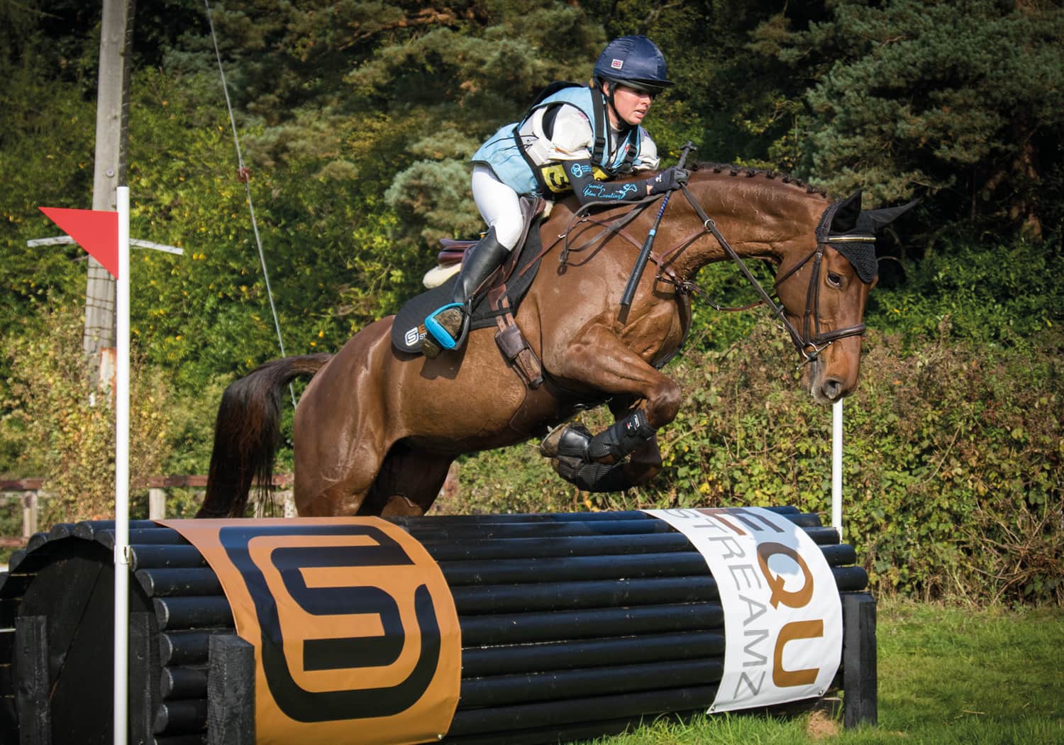 EQU-StreamZ-Magnetic-Horse-Bands-Trevor-Breen-sportshorses-and-horse-with-bands-on-for-recovery-rehabilitation