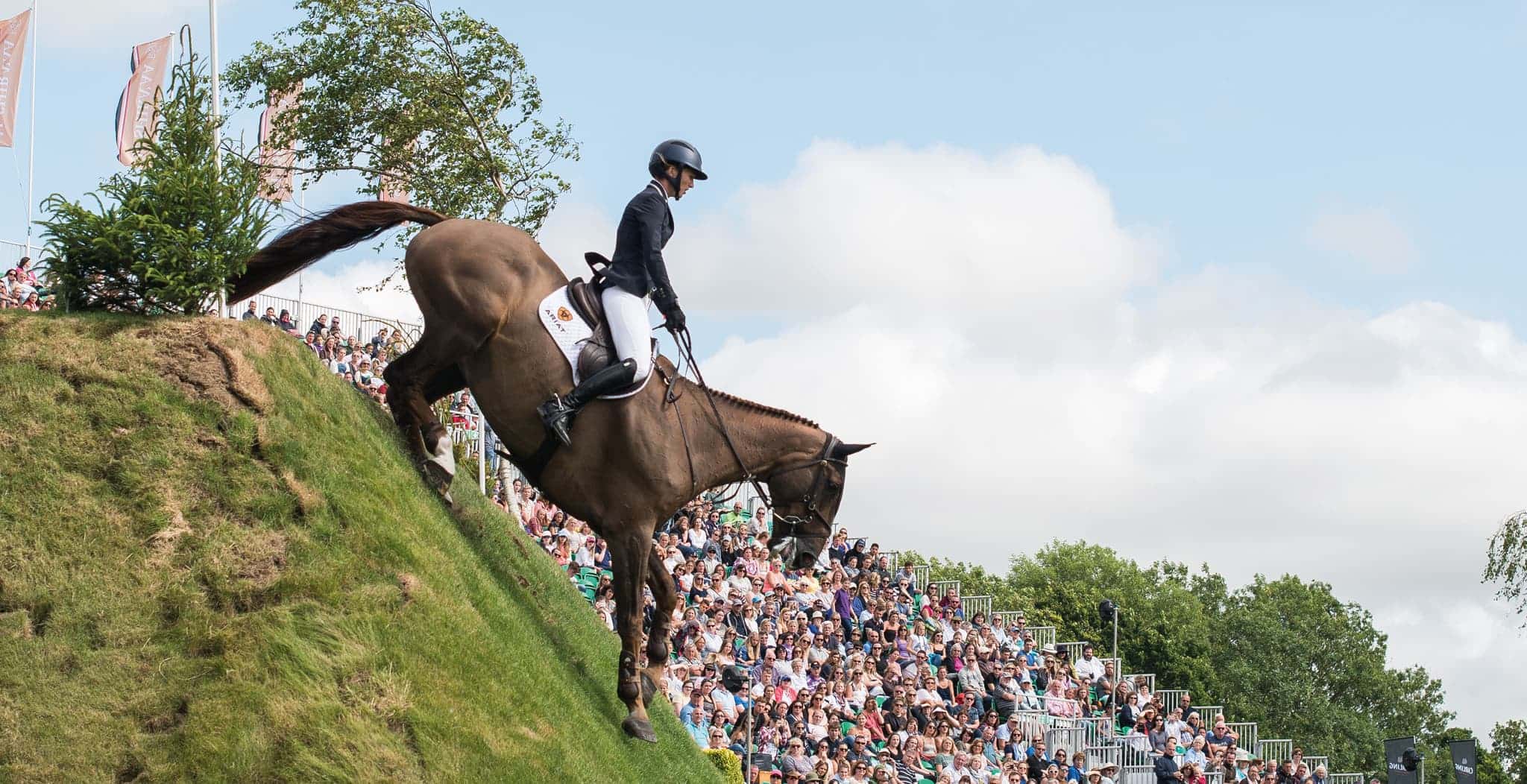 EQU-streamz-fetlock-hock-magnetic-bands-for-horses-endorsed-image-Harriet-Nuttall-Slider