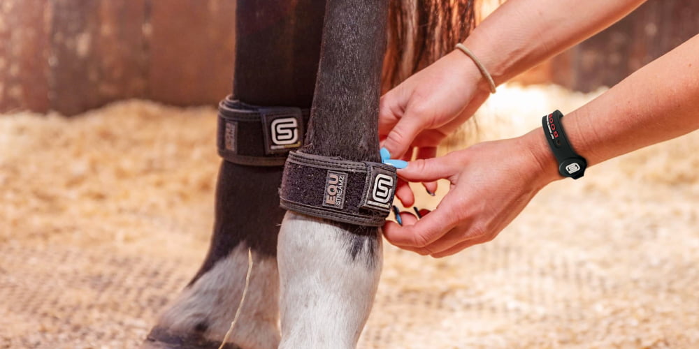 Equ streamz bio resonance therapy horse bands for pain relief and injury recovery