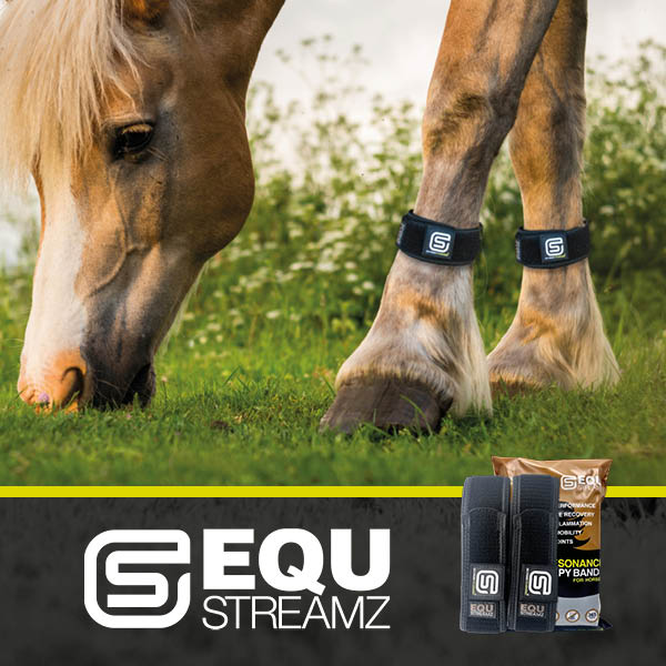 EQU StreamZ Horse Portfolio of equine products
