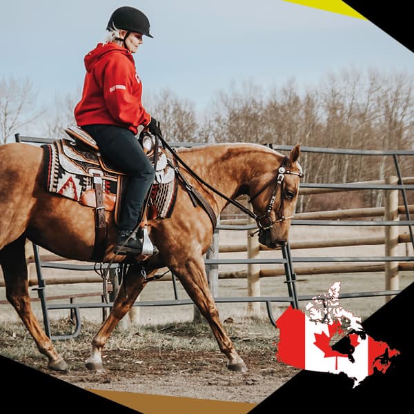 For me StreamZ have been a life saver! I first experienced the benefits of StreamZ for myself, since then my horse’s Bling and World Champion Gracie have reaped the benefits too. Natural, non invasive and results driven!” – Julie