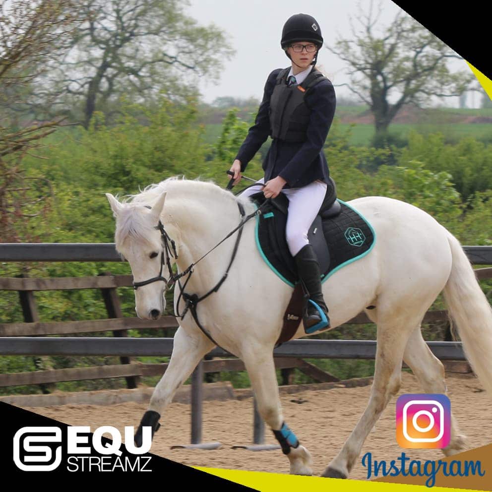 EQU Streamz fetlock hock magnetic therapy bands for horses. Friends of EQU Streamz showing influencers and social media partners who enodrse and recommed the use of Streamz magnetism on their horses for pain relief inflammation laminitis navicular. Image.