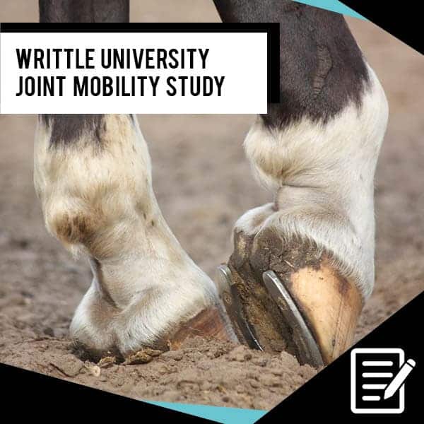 EQU Streamz clinical study. In conclusion, it was possible to demonstrate a correlation between the use of the EQU StreamZ fetlock bands and improved tarsal joint mobility, most notably in the flexion phase of the stride… a significant difference was seen