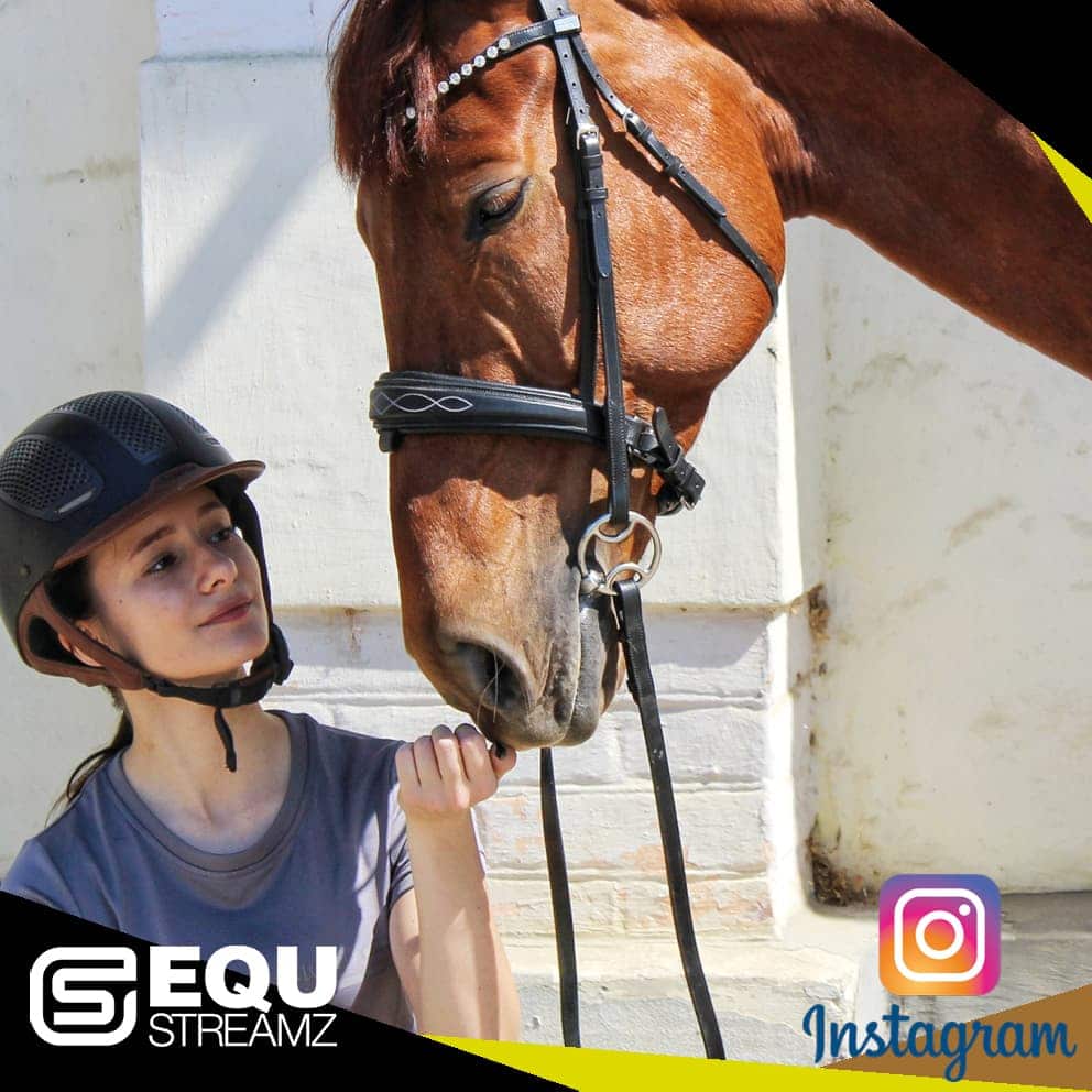 EQU Streamz fetlock hock magnetic therapy bands for horses. Friends of EQU Streamz showing influencers and social media partners who enodrse and recommed the use of Streamz magnetism on their horses for pain relief inflammation laminitis navicular. Image.